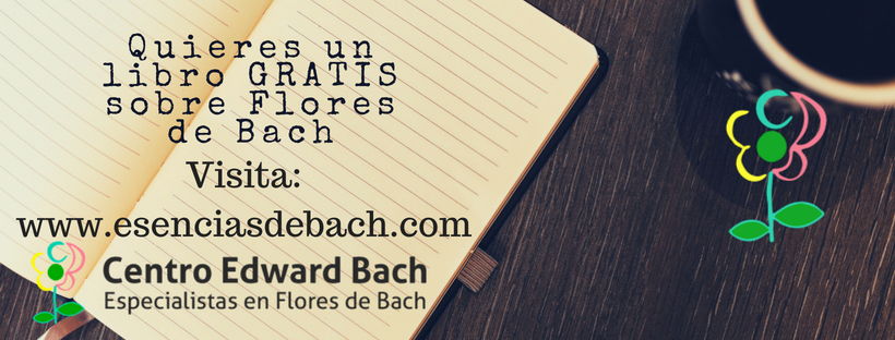 www.esenciasdebach.com