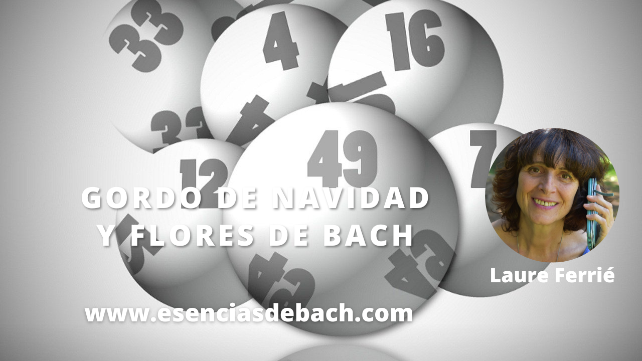 la suerte y las flores de bach