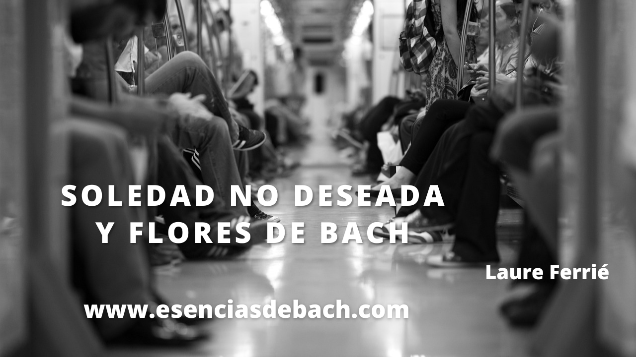 soleada no deseada y flores de bach