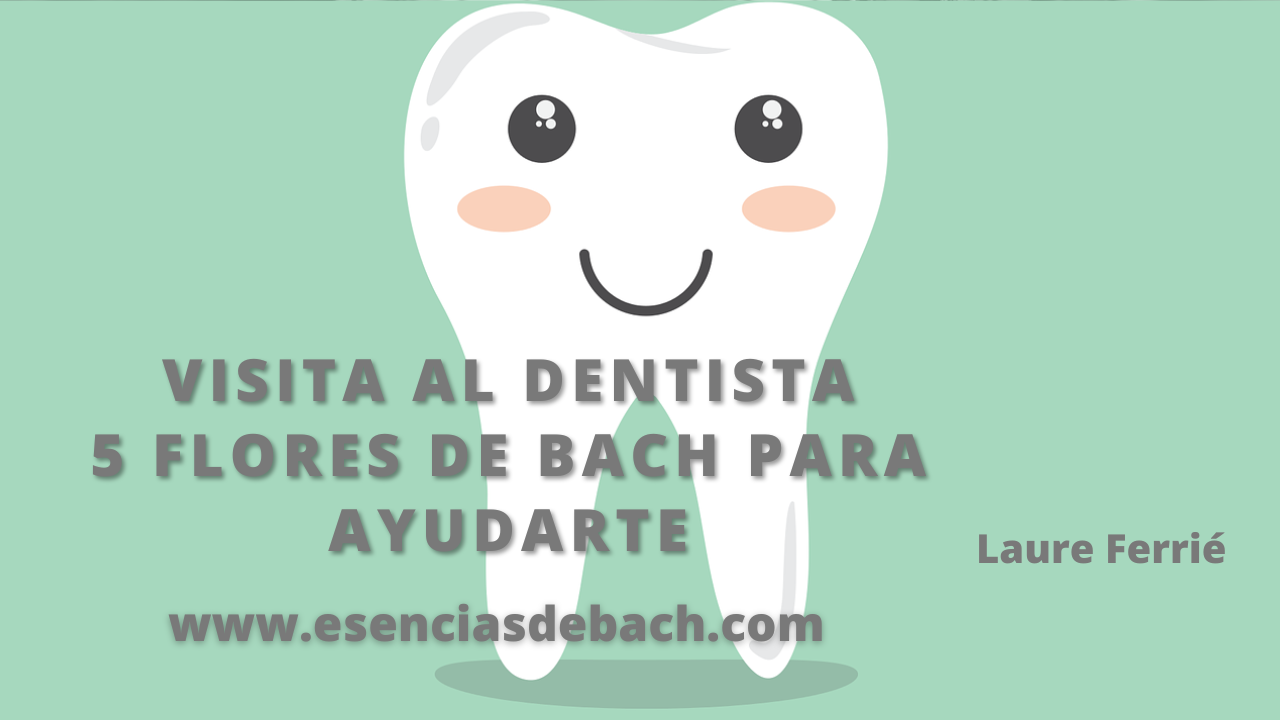 visita al dentista 5 flores de bach para ayudarte